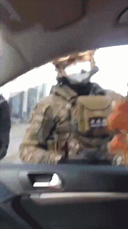 0 (3).gif