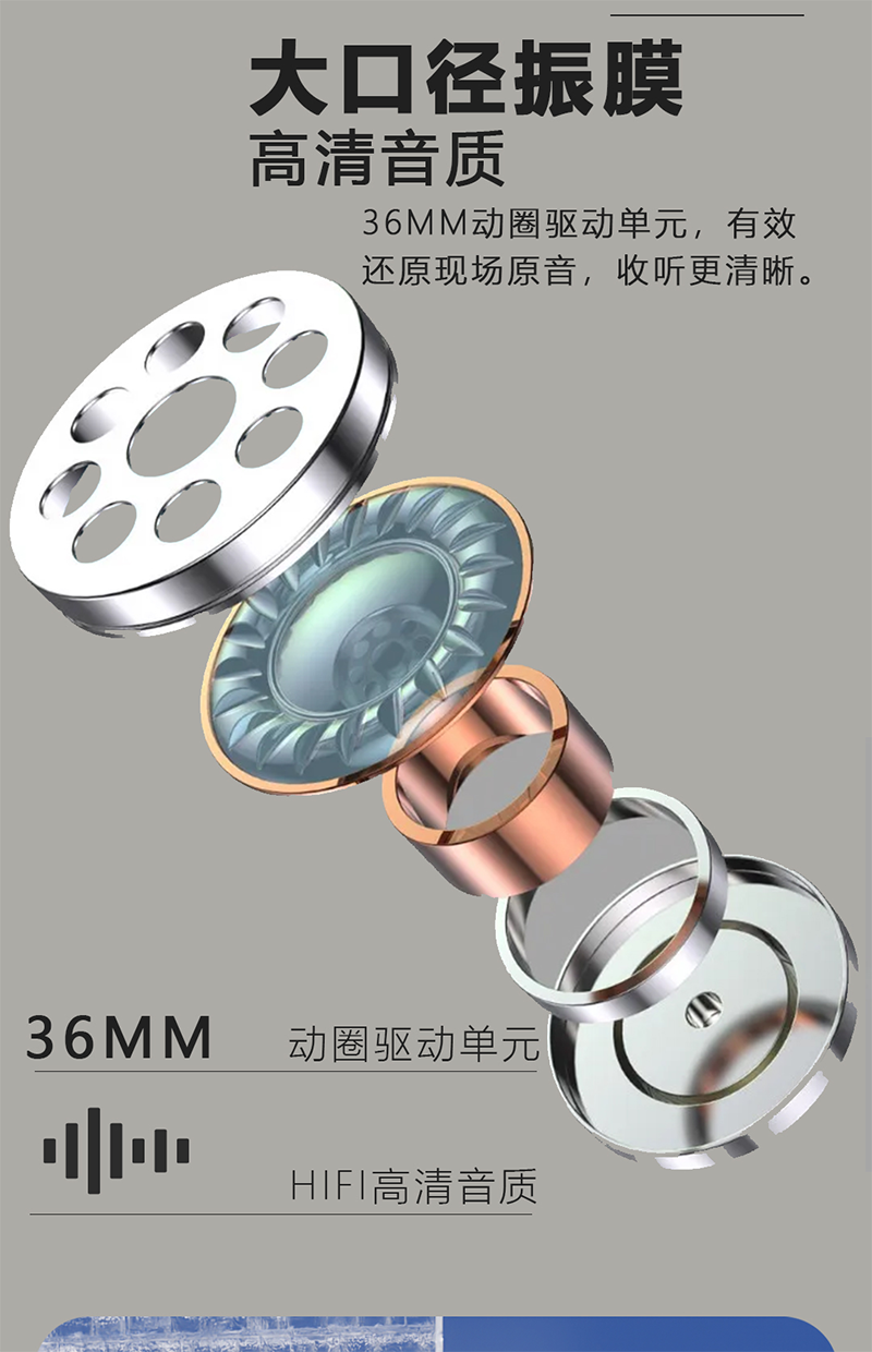 画板 5.png